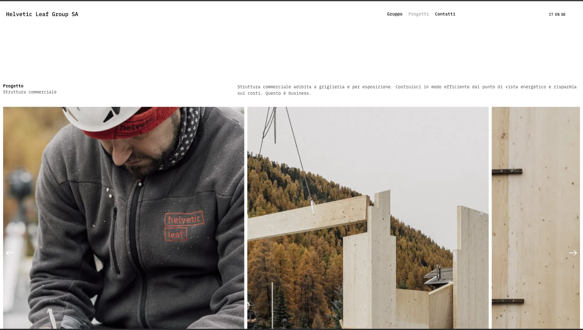Helvetic Leaf website projects page